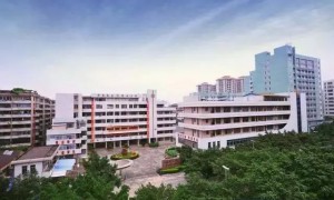 深圳市职业高中学校排名哪些靠前