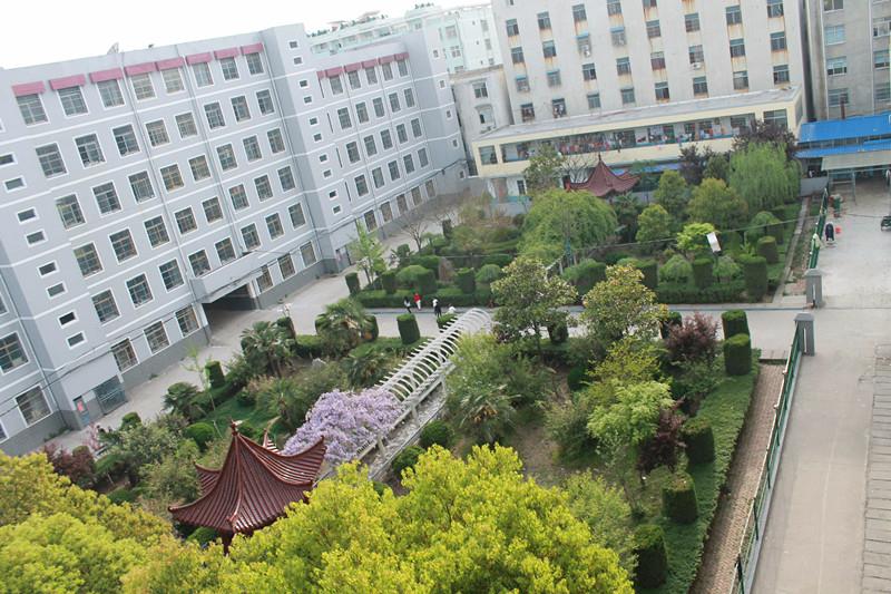 广州市启明学校图片