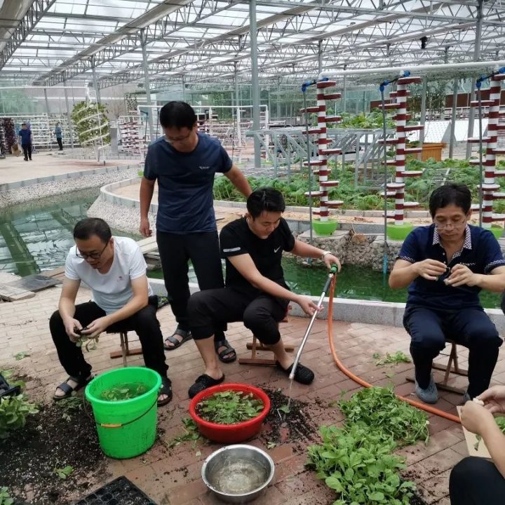 淄博机电工程学校实践基地组织开展起苗移栽专项劳动-广东技校排名网