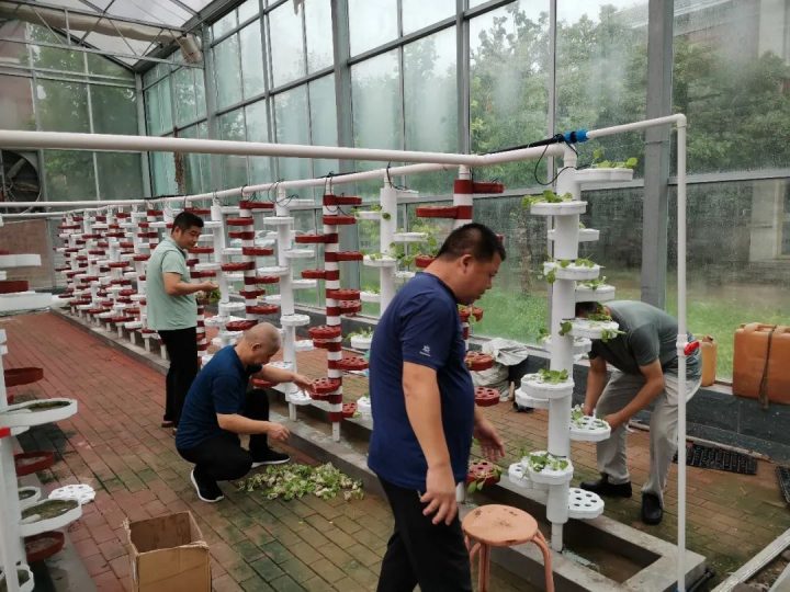 淄博机电工程学校实践基地组织开展起苗移栽专项劳动-广东技校排名网